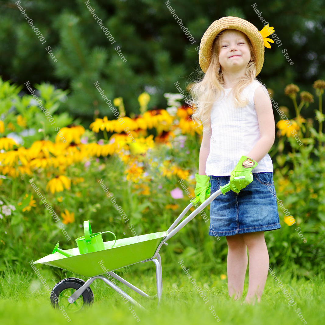 Kinder-Schubkarre für Draußen, – Kids Outdoor Play Bewertung und Preis
