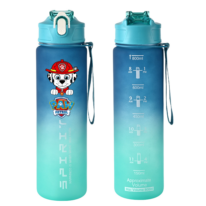 800 ml PAW Patrol Sportwasserf – Kids Outdoor Kitchen Accessories Bewertung und Preis